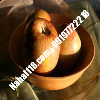 نهال سیب m106 تضمینی | 09120398417 دکتر احمد حسینی | خرید نهال سیب m106 تضمینی | فروش نهال سیب m106 تضمینی | قیمت نهال سیب m106 تضمینی