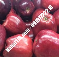 نهال سیب تضمینی | ۰۹۱۲۰۳۹۸۴۱۷  دکتر احمد حسینی | خرید نهال سیب تضمینی | فروش نهال سیب تضمینی | قیمت نهال سیب تضمینی